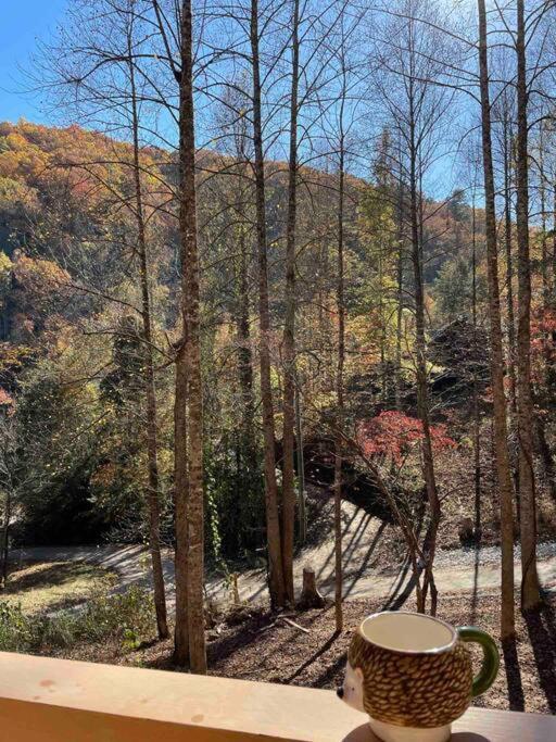 The Grand Tennessean Cabin- Four Bedroom Luxury Cabin In The Mountains พิเจนฟอร์จ ภายนอก รูปภาพ